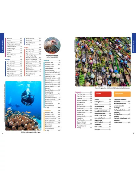 Indonézia útikönyv Lonely Planet (angol)