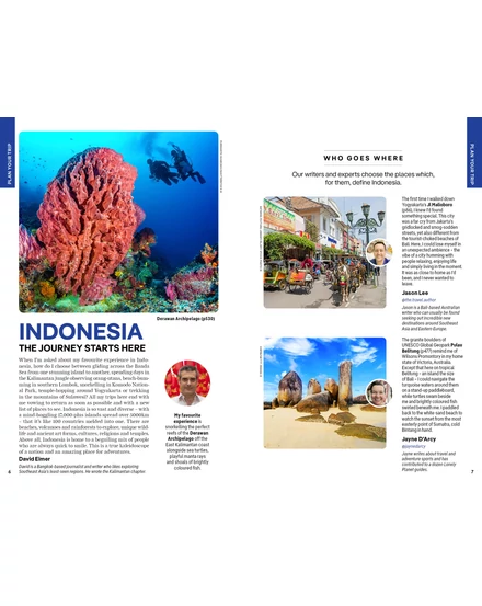 Indonézia útikönyv Lonely Planet (angol)
