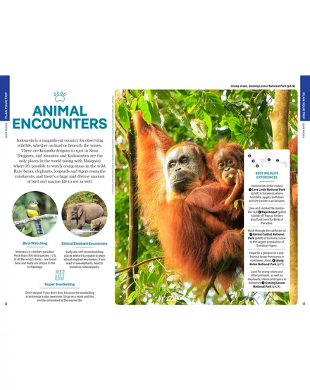 Indonézia útikönyv Lonely Planet (angol)