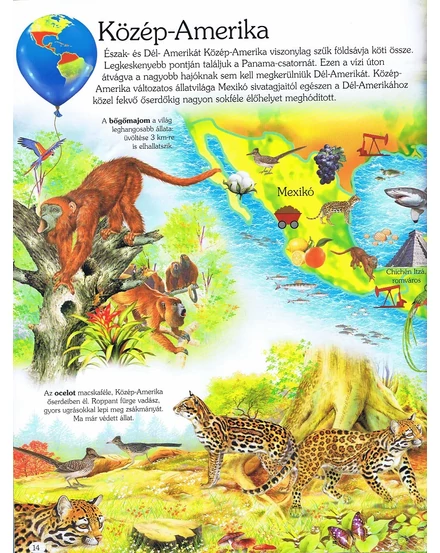 Cartographia - Képes atlasz gyermekeknek - Állatok és élőhelyek - 9789634459149