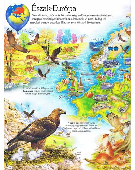 Cartographia - Képes atlasz gyermekeknek - Állatok és élőhelyek - 9789634459149