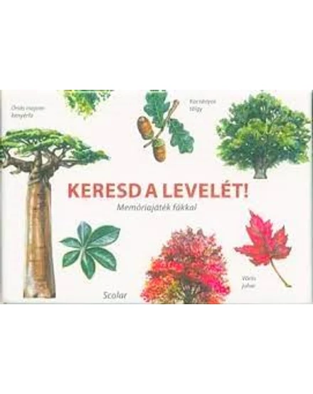 Cartographia Keresd a levelét! - Memóriajáték fákkal - Scolar 5999887153020