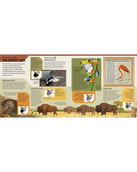 Cartographia Állatok atlasza gyerekeknek (Animal Atlas) - Lonely Planet - 9781788682602