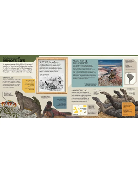Cartographia Állatok atlasza gyerekeknek (Animal Atlas) - Lonely Planet - 9781788682602