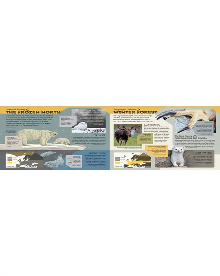 Cartographia Állatok atlasza gyerekeknek (Animal Atlas) - Lonely Planet - 9781788682602