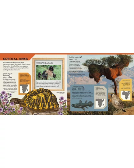 Cartographia Állatok atlasza gyerekeknek (Animal Atlas) - Lonely Planet - 9781788682602