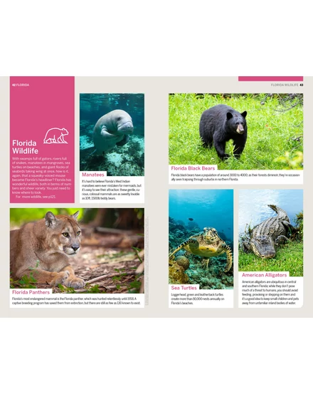 Cartographia-Florida és az USA déli rész Nemzeti Park útikönyv - Lonely Planet (angol)-9781838696092