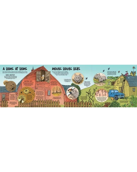 Cartographia -Hogyan építkeznek az állatok (How Animals Build) - Lonely Planet-9781786576620