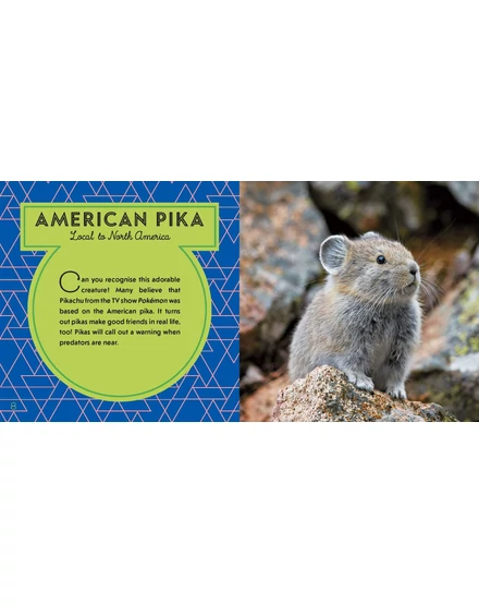 CartographiaA világ legcukibb állatai könyv gyerekeknek (World's Cutest Animals) - Lonely Planet- 9781788681247