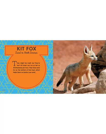 CartographiaA világ legcukibb állatai könyv gyerekeknek (World's Cutest Animals) - Lonely Planet- 9781788681247