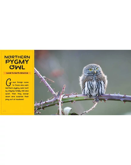CartographiaA világ legcukibb állatai könyv gyerekeknek (World's Cutest Animals) - Lonely Planet- 9781788681247