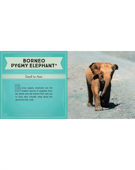 CartographiaA világ legcukibb állatai könyv gyerekeknek (World's Cutest Animals) - Lonely Planet- 9781788681247