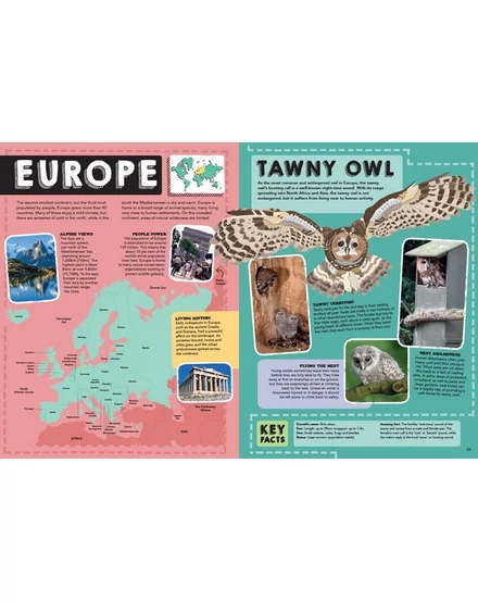 Cartographia Állatos könyv (THE ANIMAL BOOK - Lonely Planet) 9781786574336