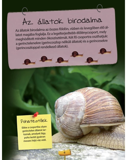 Cartographia Az állatok nagy könyve - Napraforgó-9789634455059