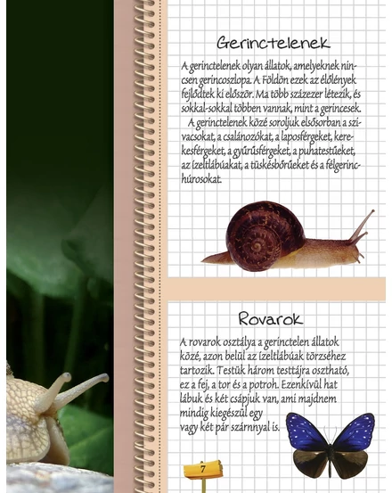 Cartographia Az állatok nagy könyve - Napraforgó-9789634455059