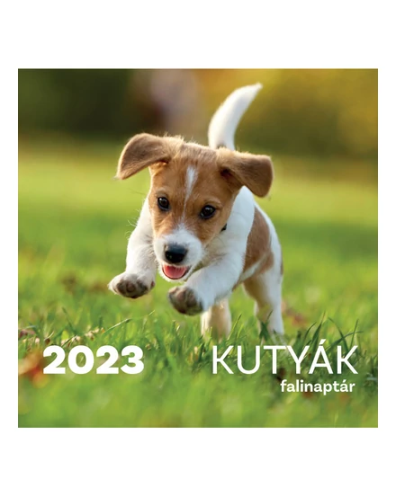 Cartographia Kutyák falinaptár 2023 5998046503218