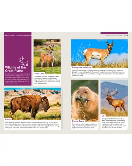 Cartographia-Nagy-tavak és Közép-nyugat USA nemzeti parkjai útikönyv - Lonely Planet (angol)-9781838696108