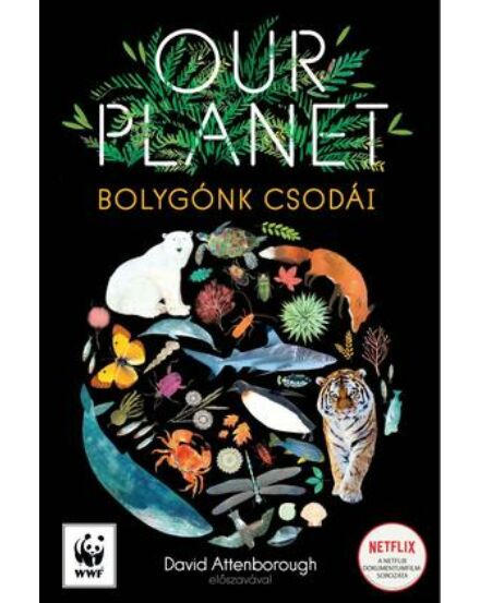 Cartographia Our planet - Bolygónk csodái album 9789634038290