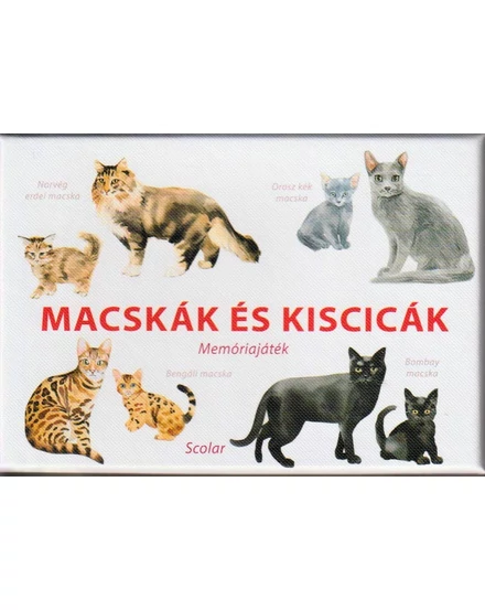 Cartographia Macskák és cicák memóriajáték - Scolar 5999887153082