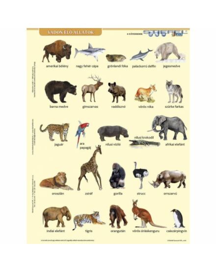 Cartographia Vadon élő állatok tanulói munkalap 5998504317814