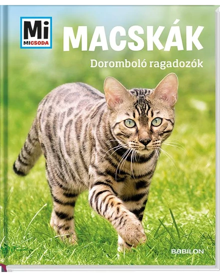 Cartographia Mi micsoda?- Macskák doromboló ragadozók 9789632944197