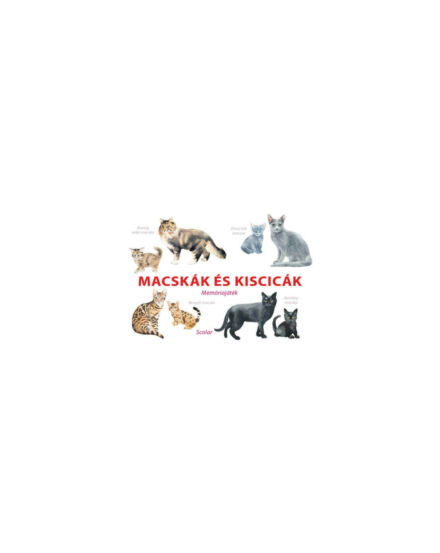 Cartographia Macskák és cicák memóriajáték - Scolar 5999887153082