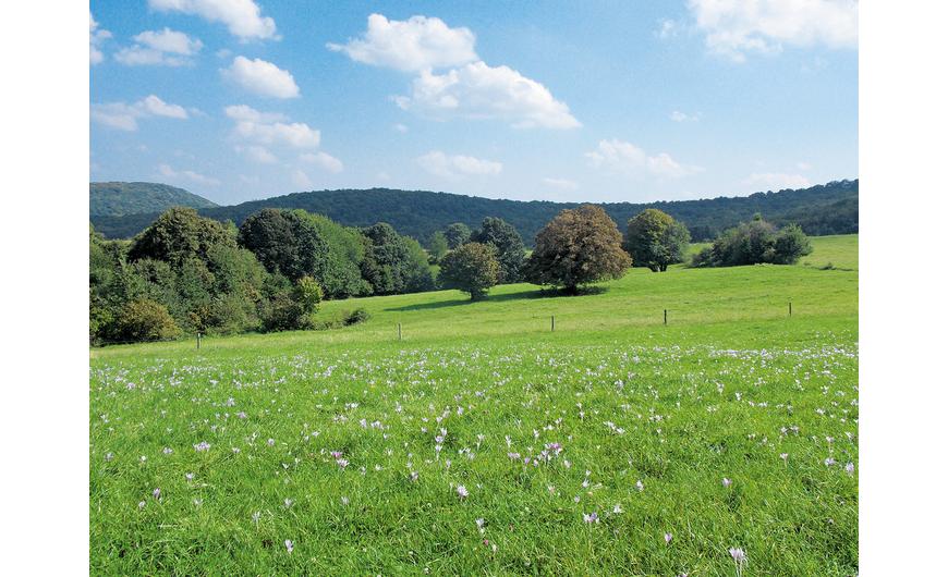 22. túra: Mecsek