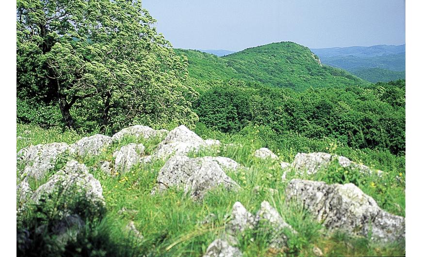10. túra: Bükk fennsík 2. rész