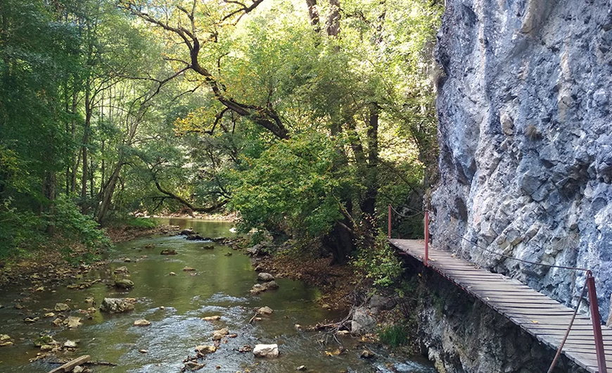 Cheile Varghisului, peisaj, natura, rezervatie naturala din Romania