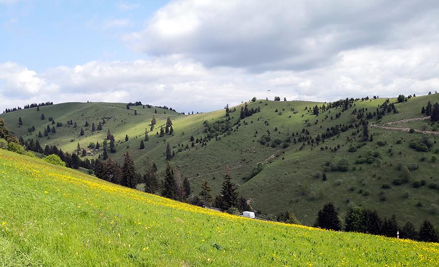 Könnyű túra a Széphavasra